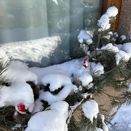 Apartament, Studio, Pokój Nad Potokiem Zakopane