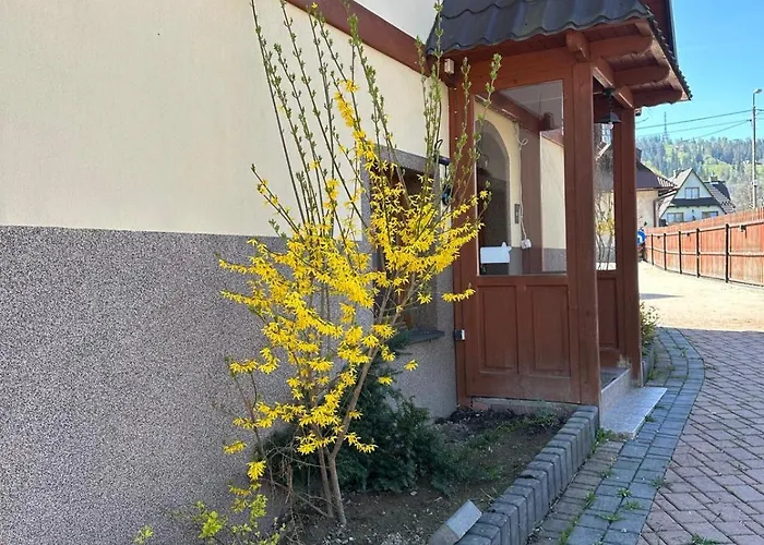 Apartament, Studio, Pokój Nad Potokiem Apartamento *